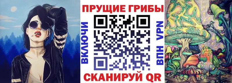 Псилоцибиновые грибы Psilocybine cubensis  Оса 